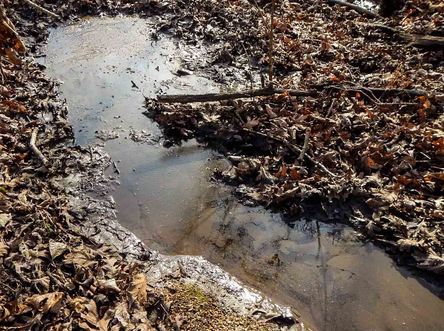 Oily Sludge On The Ground Dumped From Sunrise Beach Sewage Plant